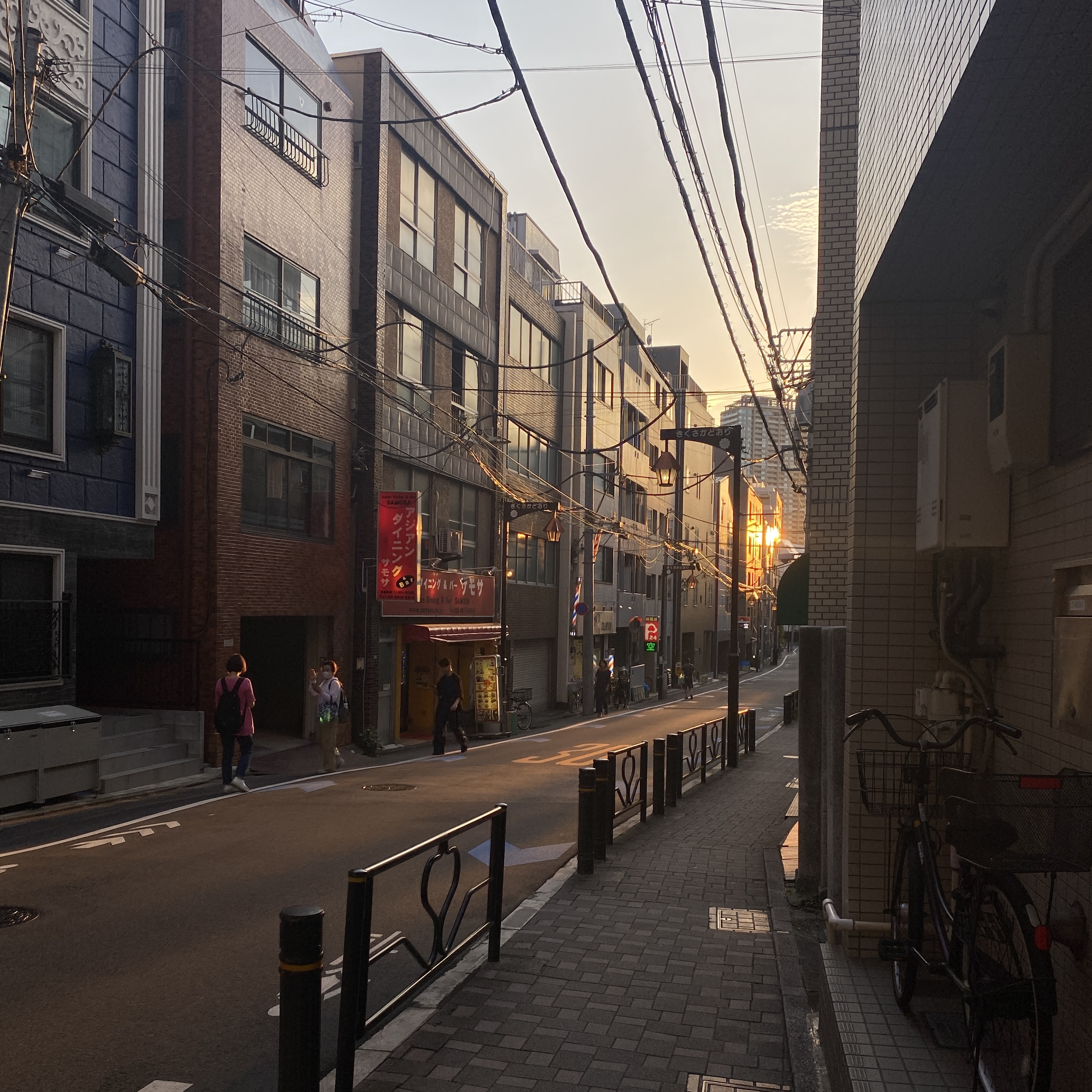 Sunset over Kikusaka. The owner told me, “The sunset is beautiful right now,” so I stepped outside—and it really was.